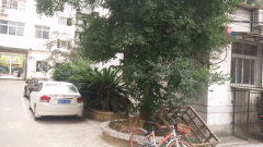 龙头街水产小区图片相册,武汉龙头街水产小区实景图 室外图 小区配套图