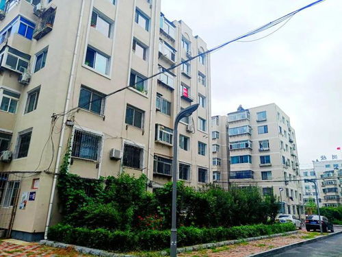 振兴区 旧小区改出新面貌