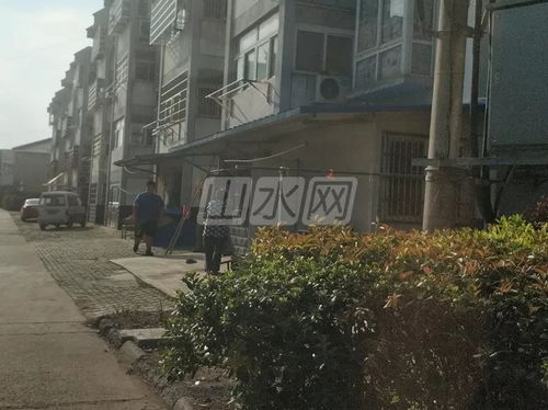 金坛这个小区违建连成片 竟然还是普遍现象