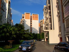 小区点滴