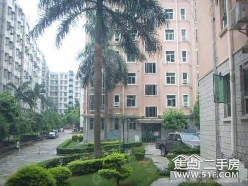 招东小区二期 深圳招东小区二期详情