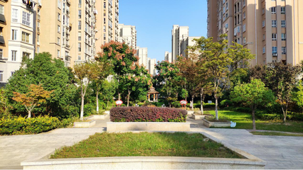 花式圈地、车辆乱停乱放!实探超高绿化率徐州东区二手房小区