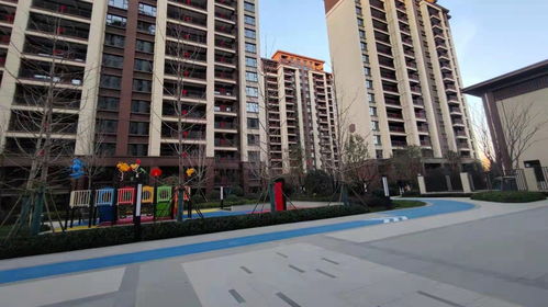 洛阳这个小区,短短三年时间,房价从5000涨到14000,实在没想到